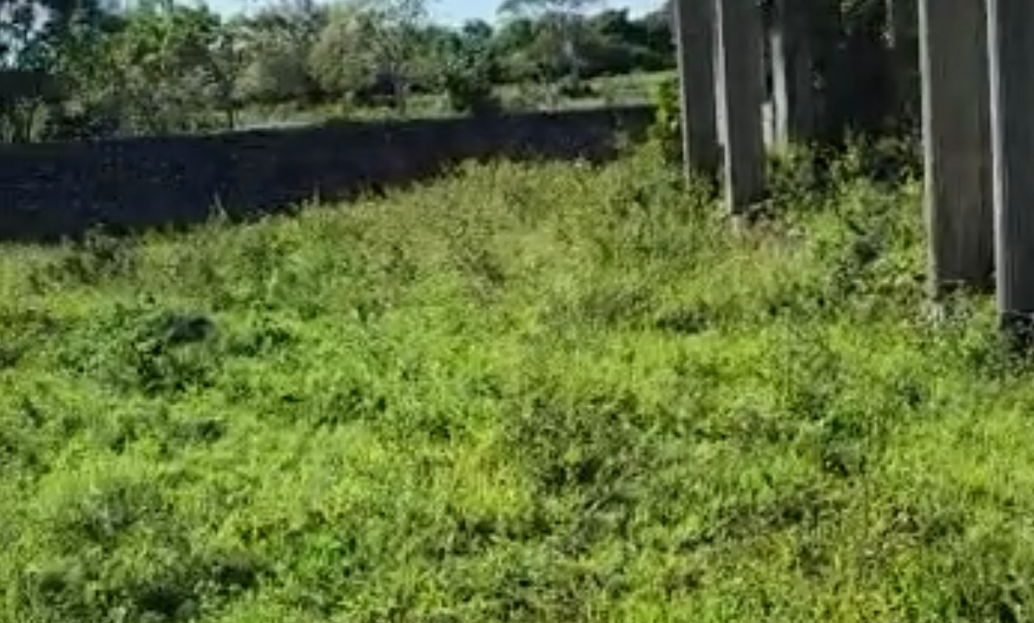 imagen del video
