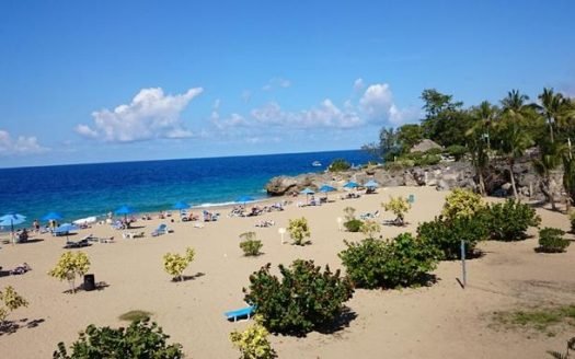 playa alicia