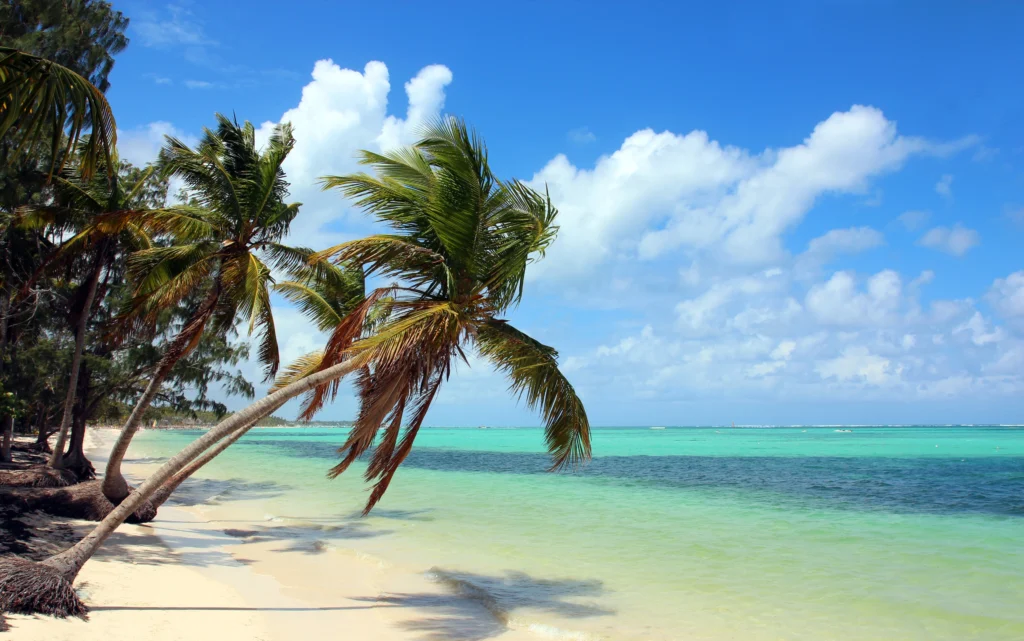 Remax Atlantis - PUNTA CANA 1 Remax Atlantis - 64f1a6f9c3dbdb2ab89b836bd76fbdd1