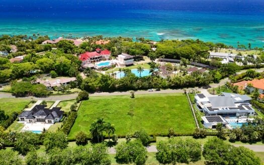 Remax Atlantis - DJI 20250517004453 0425 D 1