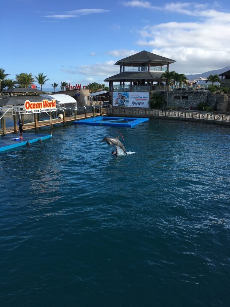 Remax Atlantis - ocean world puerto plata