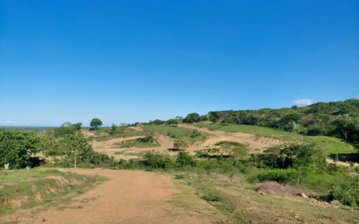 Remax Atlantis - WhatsApp Image 2026 02 02 at 2.17.04 PM