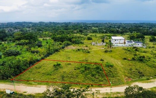 Remax Atlantis - WhatsApp Image 2026 02 24 at 15.08.30