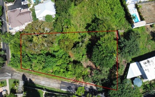 Remax Atlantis - WhatsApp Image 2026 03 05 at 13.01.37