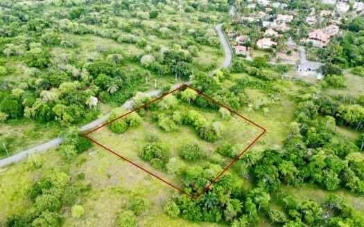 Remax Atlantis - WhatsApp Image 2026 05 22 at 17.37.56 1 1